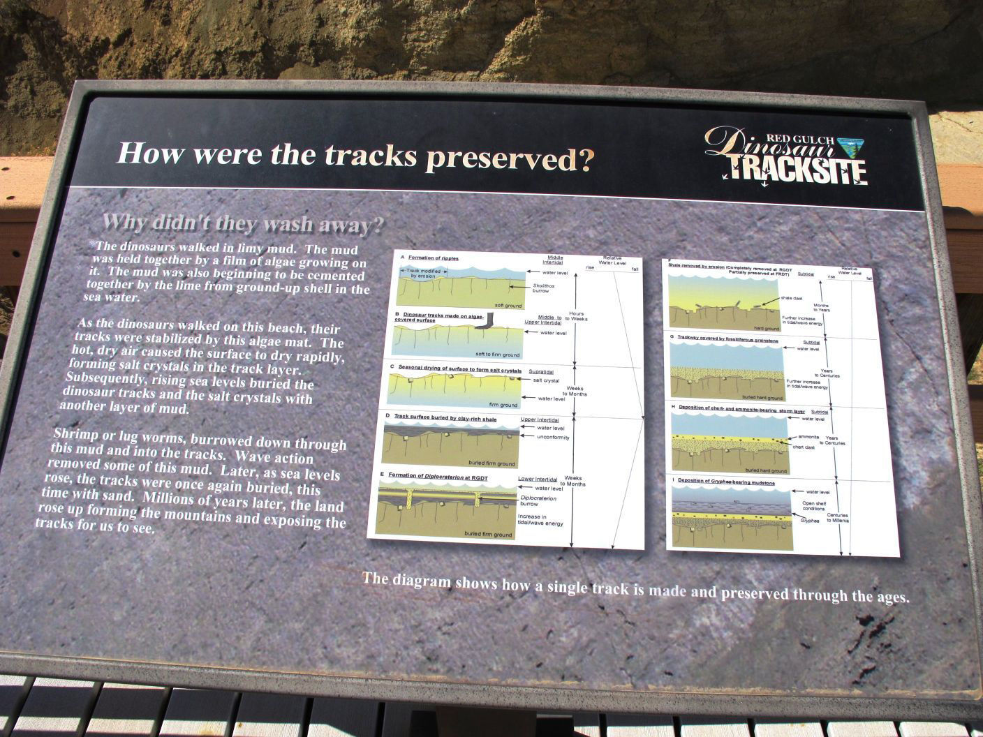 Red Gulch Dinosaur Tracksite